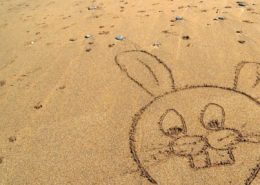 lapin
